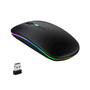 Wireless Mouse W10